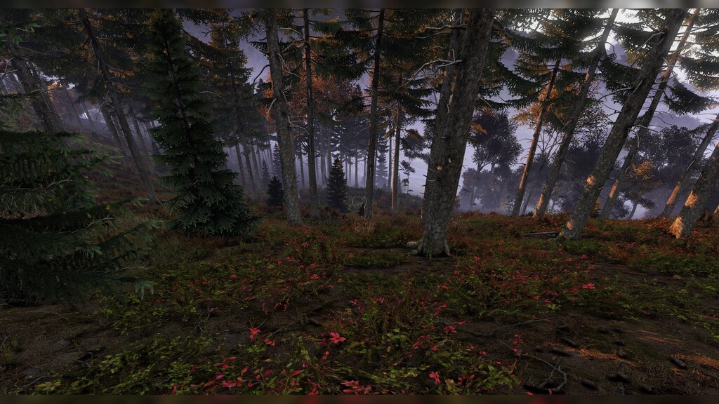 DayZ Early Access entry found on Steam Database – Destructoid