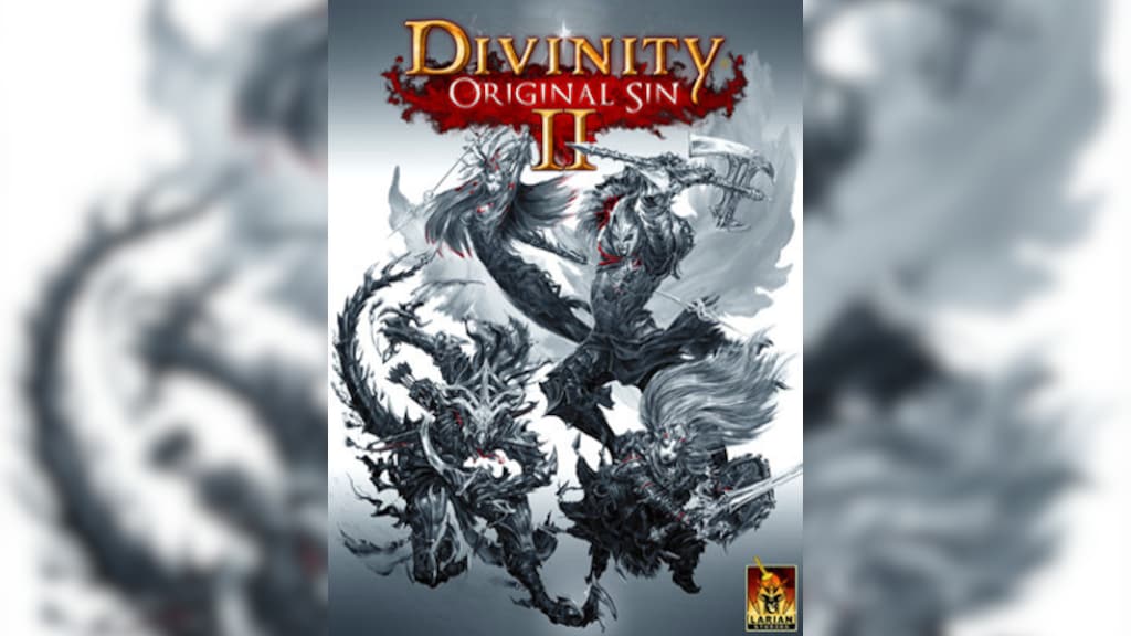 Divinity: Original Sin 2 Steam Account