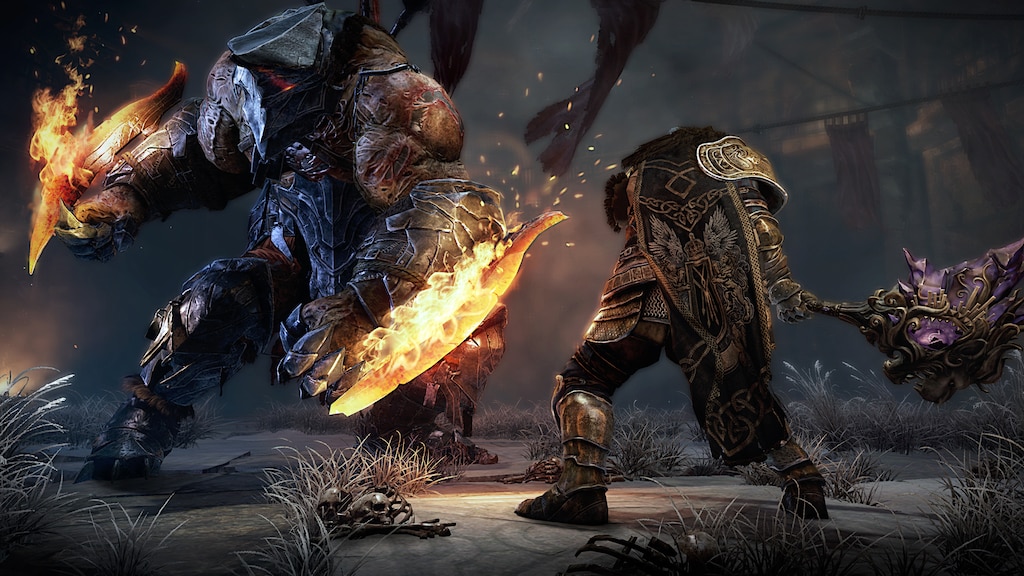 Lords of the Fallen (Video Game 2014) - IMDb