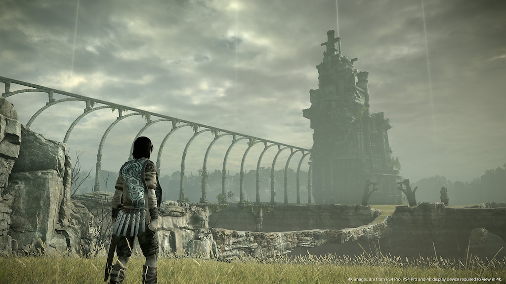 Shadow of the Colossus (Import)