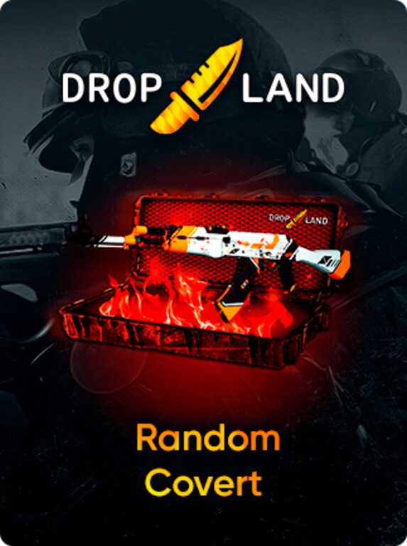 Counter-Strike: Global Offensive RANDOM COVERT SKIN BY DROPLAND.NET - Key - GLOBAL - 1