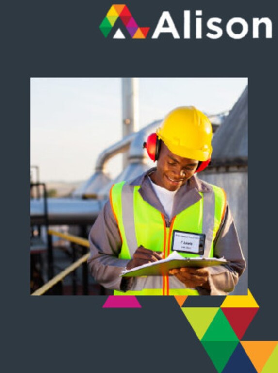 Buy Occupational Hygiene Biological Physical And Environmental 