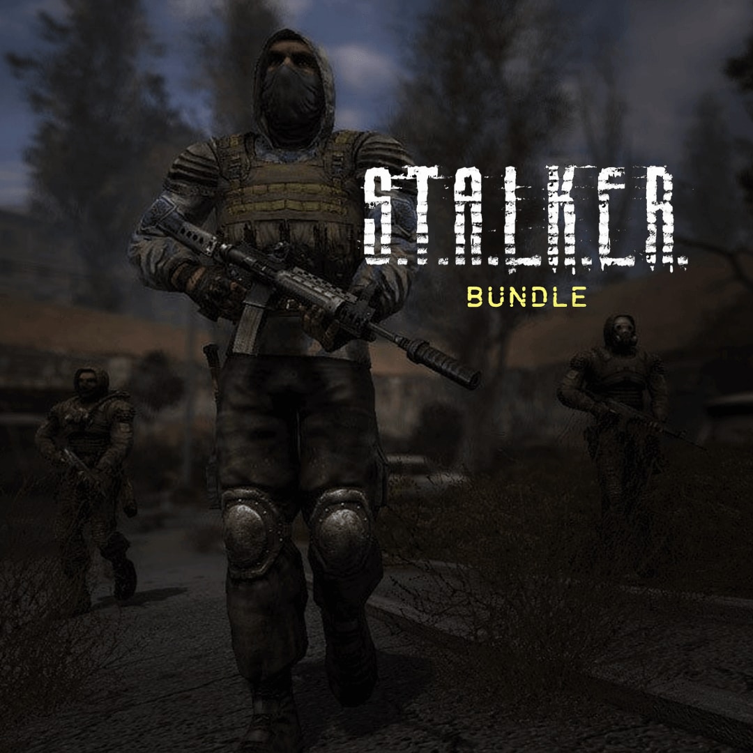 Steam stalker bundle фото 9