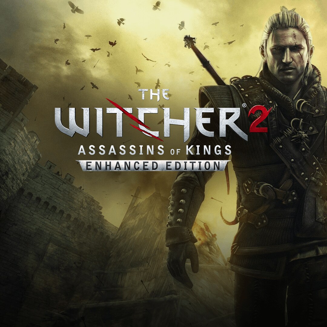 The witcher 2 assassins of kings стим фото 35
