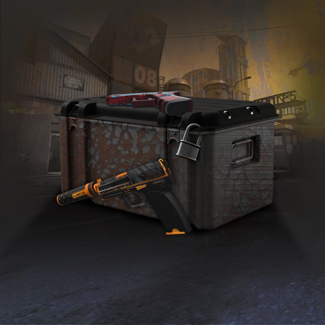 Pistols Case