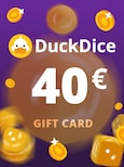 DuckDice.io Gift Card 40 EUR in BTC - DuckDice Key - GLOBAL