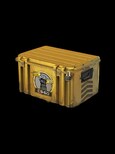 Glove Case