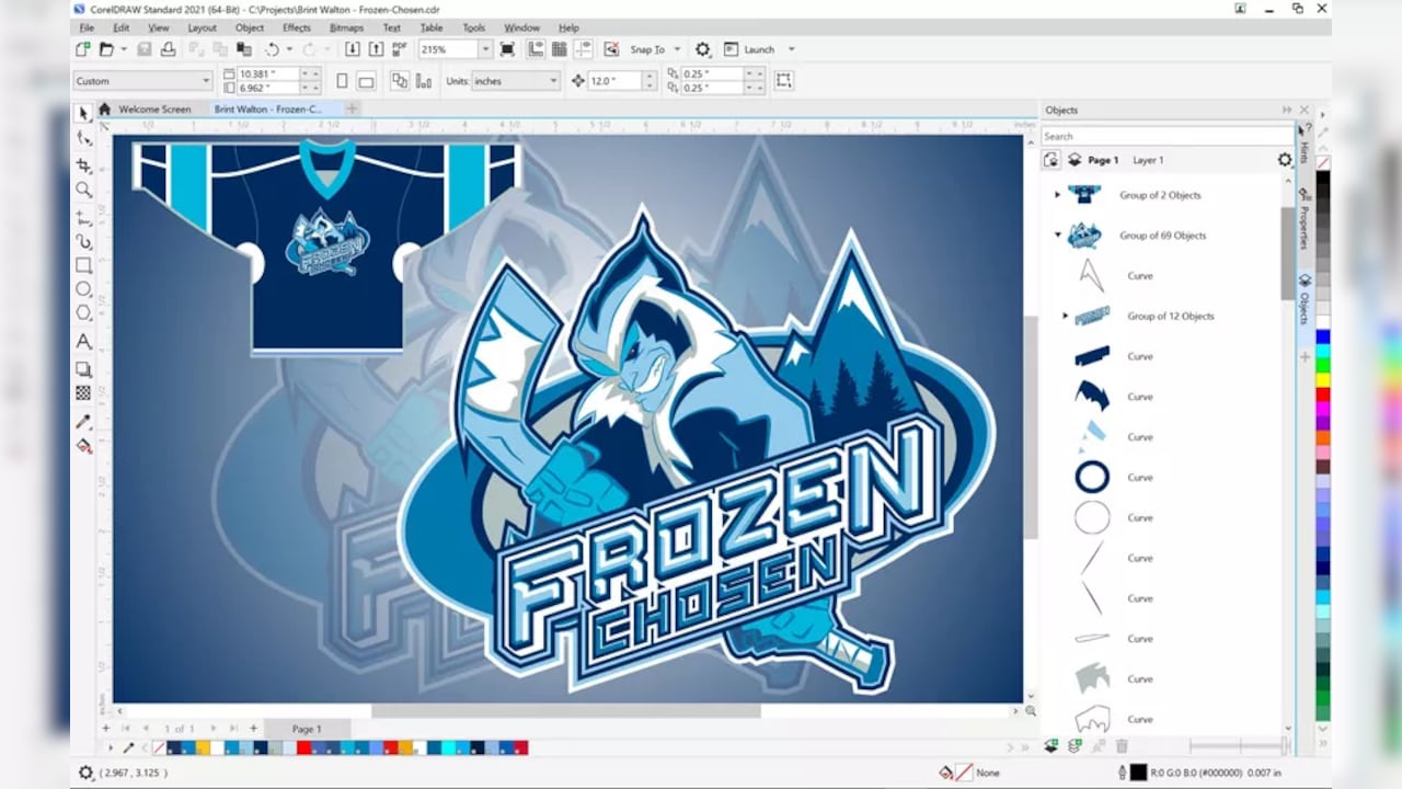 CorelDRAW 2021 Standard (2 PC, Lifetime) Key screenshot 2