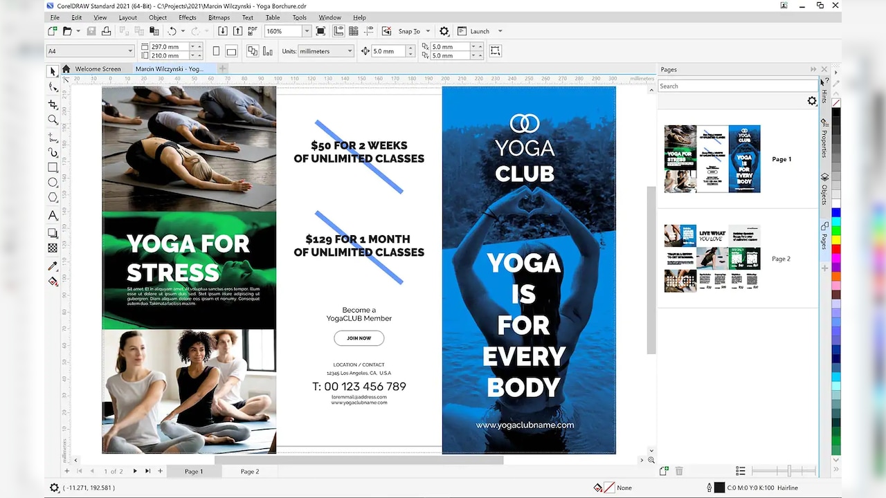 CorelDRAW 2021 Standard (2 PC, Lifetime) Key screenshot 3
