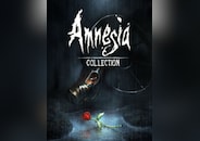 Amnesia Collection PC