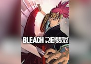 BLEACH Rebirth of Souls - Rebirth of Souls Costume Set PC