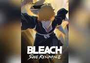 BLEACH: Soul Resonance Extreme Training