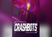 Crashbots