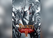 Divinity: Original Sin 2