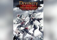 Divinity: Original Sin - Enhanced Edition Collector's Edition