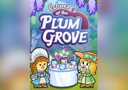 Echoes of the Plum Grove PC