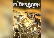 ELDERBORN PC