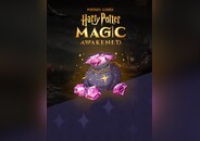 Harry Potter: Magic Awakened Lustre Pouch III