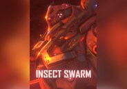 Insect Swarm