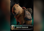 Last Epoch - Woven Traveler Supporter Pack PC