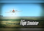 Microsoft Flight Simulator X: Steam Edition