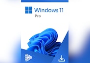 Microsoft Windows 11 Pro