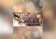 Paperbark