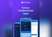 Python Fundamentals - Level 1 - Course