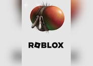 Roblox - Freaky Fly Face