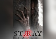 Stray Souls