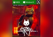Stray