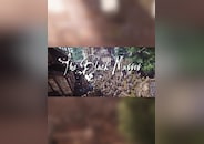 The Black Masses