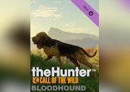 theHunter: Call of the Wild - Bloodhound