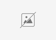 Ultima Online Character Name Change Token Code