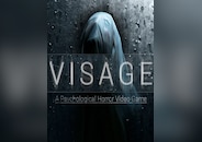 Visage PC
