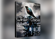 Winter Voices Episode 5: Overflow