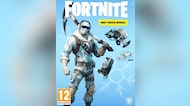 Buy Fortnite Deep Freeze Bundle + 1000 V-Bucks Nintendo Switch Key