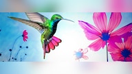 Adobe Photoshop Elements 2024 (MAC) (1 Device, Lifetime) - Adobe Key - GLOBAL