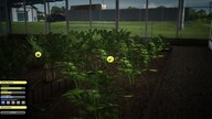 Agricultural Simulator 2013 Steam Key GLOBAL