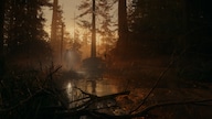 Alan Wake 2 (PC) - Epic Games Account - GLOBAL