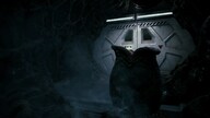 Aliens: Fireteam | Deluxe Edition (PC) - Steam Key - GLOBAL