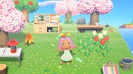 Animal Crossing: New Horizons (Nintendo Switch) - Nintendo eShop Key - UNITED STATES