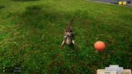 Animal Shelter (PC) - Steam Gift - NORTH AMERICA