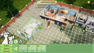 Animal Shelter (PC) - Steam Gift - NORTH AMERICA