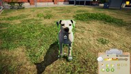 Animal Shelter (PC) - Steam Gift - NORTH AMERICA