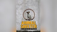 Animal Shelter (PC) - Steam Gift - NORTH AMERICA