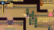 Anuchard (PC) - Steam Key - GLOBAL
