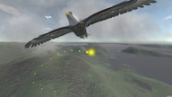 Aquila Bird Flight Simulator Steam Key GLOBAL