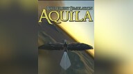 Aquila Bird Flight Simulator Steam Key GLOBAL