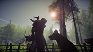 Aska (PC) - Steam Gift - NORTH AMERICA